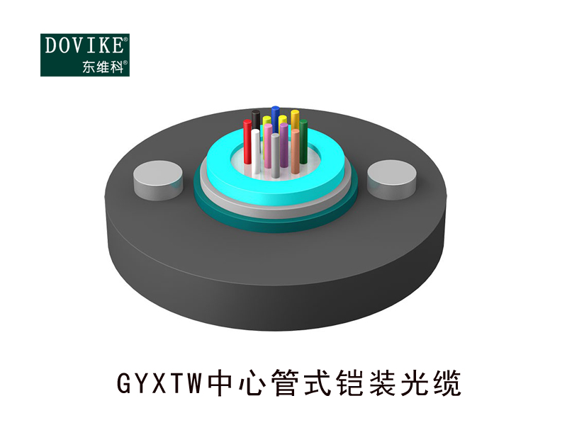 GYXTW铠装光缆 12芯GYXTW铠装光缆--江苏东维通信科技有限公司