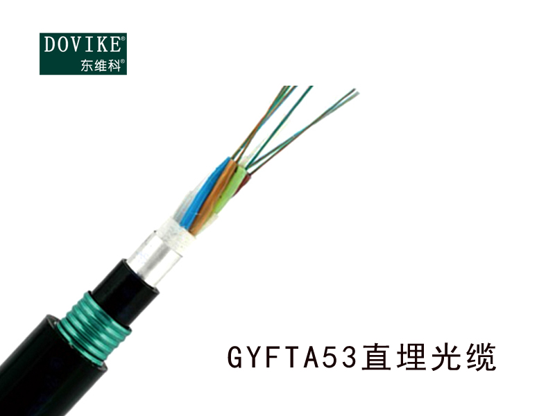 GYFTA53室外直埋光缆  24芯埋地光缆--江苏东维通信科技有限公司