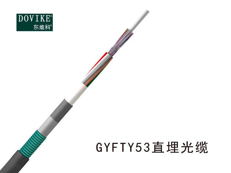 GYFTY53铠装直埋光缆，24芯GYFTY53埋地光缆厂家--江苏东维通信科技有限公司